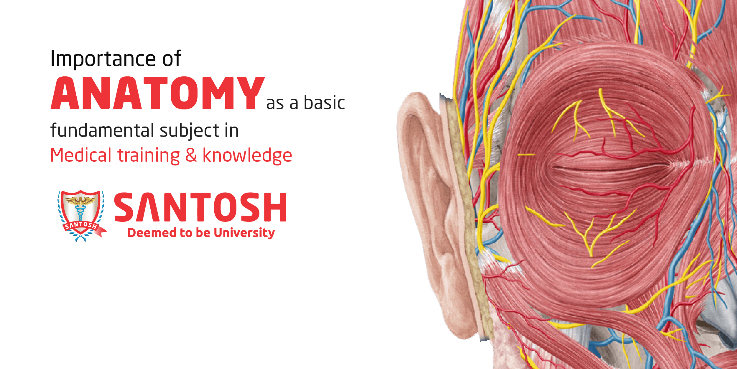 IMPORTANCE OF ANATOMY AS A BASIC FUNDAMENTAL SUBJECT IN MEDICAL TRAINING &  KNOWLEDGE